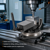 Präzisions-Fräs-Maschinen-Schraubstock 5 Zoll, 24KN Frässchraubstock mit 360°-Drehung ° Drehbare Basis, 90 ° Neigungswinkel, 3,74 Zoll Maulöffnung, Gusseisen-Klemme für Fräsen, Bohren,