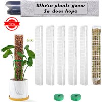 Plastic Transparent Reusable Indoor Moss Poles Plants Plant Support Potted Sticks Train Creeper Plant to Grow Upward For Garden