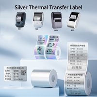 Niimbot M2/M3/B32/Z401 Silver Label Heat Transfer Print Paper Fixed Asset Sticker Office Equipment Laser Silver Self-adhesive