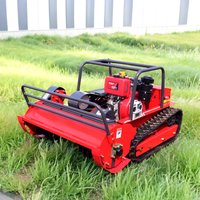 Power Crawler Lawn Mower New Arrival Mini Farm Flail Lawn Mower 800mm 1000mm 1200mm RC Home
