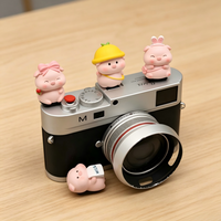 Cute Pig Hot Shoe Cover for Leica Q2 Fuji X100V X-T5 Sony ZV-1 Canon EOS R5 Nikon Z5 Camera Accessories