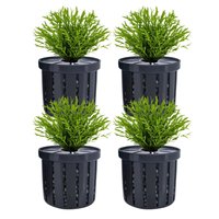 4pcs Aquarium Planter Stable Fish Tank Net Cup For Plant Aquarium Hydroponics Planting Holder Water Feature Decoration