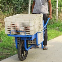 Landwirtschaftliche elektrische handbetriebene Schubkarre, Obstgartentransport, kompakte Lithiumbatterie, 24 V Efeu-Handkar (individuell)