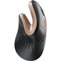 ProtoArc Ergonomic Mouse EM11 NL BT Rechargeable Wireless Vertical Mouse 2.4GHz Optical Mice for Windows, Mac OS