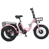 Neues 3-Rad-Fat-Reifen-Elektrofahrrad für Erwachsene, Damen, Stadt, 500 W, 20 Zoll, Familienfracht-Elektro-Dreirad mit 2 Körben, abnehmbarer Batterie