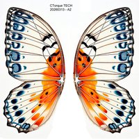 CTorque Lightweight Carbon Rod & Butterfly Wing Fabric for RC Bionic Butterfly
