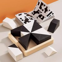Plastic Hidden Blocks Puzzle Fitting Square Block Geometric Shape Brain Challenges 3D Logic Spatial Thinking Educational Toys