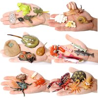 The life cycle Animals toys set Toy animals Figures Montessori Action Figure Kids Gifts Mini Figurine Plastic Insects Toys Games