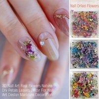 Mixed Small Dried Flowers Nail Art Dry Flowers Assorted Nail Decorations for Beauty Salon And Home Use