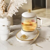 600ml Multifunctional Mini Health Pot Electric Stew Cup Tea Maker Heating Cup Fully Bird Nest Stew Cup Home Office Gift