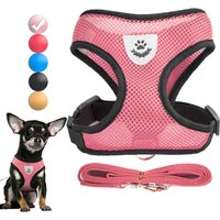 Dog Harness for Small Dogs Cats Adjustable Pet Harness And Leash Set Breathable Vest for Pug Chihuahua Bulldog Dog Accessories