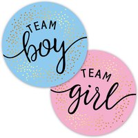 60/120pcs Team Boy Team Girl Stickers Boy or Girl Sticker for Gender Reveal Party Decoration Baby Shower Supplies Gift Box Label