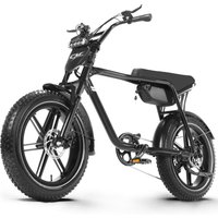 Elektrofahrrad 48V18Ah Batterie Elektrisches Mountainbike 20 Zoll Fatbike E-Bike für Erwachsene, Scheibenbremse, 7-Gang Offroad-E-Bike