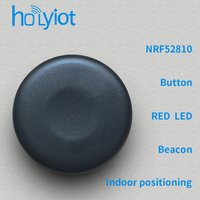 Holyiot NRF52810 Waterproof Wireless Low Cost Proximity Bluetooth 5.0 Low Energy Module Beacon Indoor Positioning