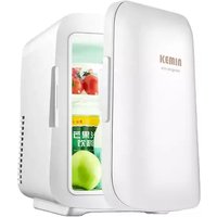 Electric Car/ home Dual Use Refrigerator 4L Portable Food Cold Storage Refrigerator Mini Food Freezer Portable mini fridge