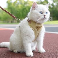 Fashionable Pet Harness and Leash Set for Cats and Small Dogs, Breathable and Durable Kitten Harness for Outdoor Walking