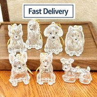 Transparent Cute Dog Hair Storage Keychain Pet Fur Keepsake Capsule Bag Pendant Decor Souvenir Collection Gift Memorial Jewelry