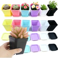 6/12/24pcs Colorful Square Flower Pot with Tray Office Indoor Outdoor Decor Flower Beds Garden Nurseries Plastic Flowerpot XJM