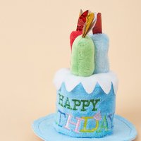 Cute Adorable Dog Cat Birthday Cake Hat Pet Cap Headwear Adjustable Dog Cats Hats Pet Birthday Dress Up Hat Pet Supplies