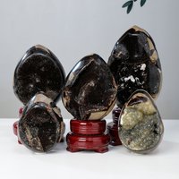 1PC High Quality Natural Septarium Druzy Cluster Egg Shape Specimen Healing Stones Crystal for Decoration