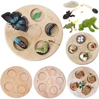 AliExpress NONE Animal Life Cycle Board Children Toys Montessori Teaching Aids Plant Animal Growth Cycle Model Set preschool cognitive Toys