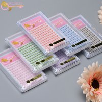 6D 10D 11-15mmColor Loose Pre Made Volume Fan Bunte Braun Rosa Blau Lila Wimpern Spitze Basis Premad Fans Wimpern Verlängerung