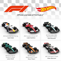 Genuine In Stock Hot Wheels Red Bull F1 Racing Car Diecast Model Toy Car Hvr11 1:64 Scale Alloy Toys For Fans Collectors Gift