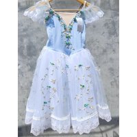 Professional Balllet Tutus Pink Blue Long Ballet Dress For Kids Girls Party Dance Wear Performance Competition Costume