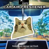 1/3/5pcs Shocked Cat Car Air Freshener Auto Parts Car Hanging Cat Design Auto Interior Decor NEW CAR