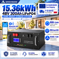 48V 300Ah LiFePO4-Batterie 15kWh 6500+ Zyklen Bluetooth Aktiver Equalizer 200A RS485 CAN BMS PC-Monitor 51,2V 100Ah 120Ah 150Ah 200Ah Lithium-Batterie für Heim-Solarwechselrichter Energiespeicher PL