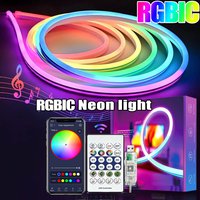 Bande lumineuse néon RGB+IC 5V, 1M 2M 3M 5M 10M, USB, étanche, flexible, avec télécommande Bluetooth, pour la décoration de la maison