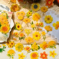 Journamm 60pcs Flower Leaf Scrapbook Stickers Journaling Supplies for Daily Planner Junk Journal Card Making PET Decor Stickers