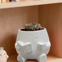 Novelty Mini Size Plant Pot 3D Printed Stylish Design Flowerpot Ornaments Holder Head Planter Garden Display