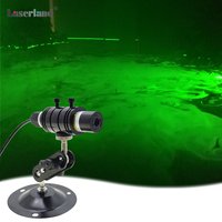 532nm Green Line Module for Laser Swamp Laser Pond Haunted House Garden Yard Decoration