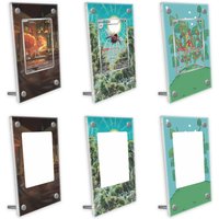 Pokemon Cards Display PTCG Shuckle Ninjask Vulpix Cobalion Anime Game Collection Expand Art Protective Case Keychain Toys