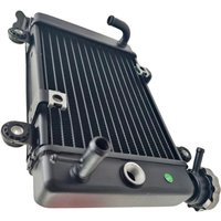 AliExpress NONE Motorcycle Aluminum Radiator With Cooling Fan Assembly For 125cc 150cc ATV Quad Go Kart Buggy Dirt Bike Water Cooling System