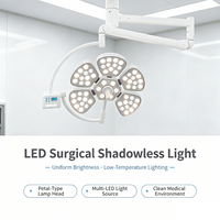 Medical Equipment Surgery Lights Ceiling Shadowless Operating Lamp Wall Mounted Single Arms Operating Led Lamps For Clinic