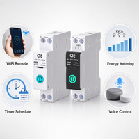 Tuya Smart Circuit Breaker 1P 63A DIN Rail Remote Control Intelligent Switch Timer MCB Metering Intelligent Home Smart Life