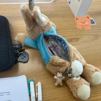 Cute Plush Rabbit Pencil Case Kawaii Doll Back To School Storage Bag Pen Bag Stationery Student Stationery School Supplies