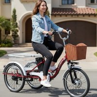 350W 3 Wheels Electric Bike For Adults With Basket Red/Blue 48V 20Inch Electric Tricycle For Senior Max Speed 20km/h