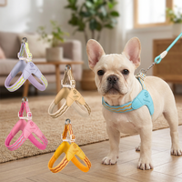Ultra Lightweight Dog Harness Set, Soft Mesh Vest with Matching Leash, Fashion Pet Chest Belt for Small Dogs, Breathable Puppy W
