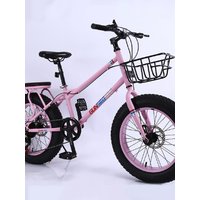 AliExpress Snowmobile 4.0 Large Tire Variable Speed Shock Absorption Carbon Steel Double Disc Brake Mountain Bike Dune Buggy Speed Bike