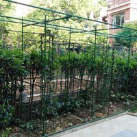 40pcs Hydroponics Garden Plant Stakes Support Sticks(75cm) Canes Pole Grow Tools