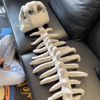 Wearable Dinosaur Skeleton Doll, 95cm/125cm Creative and Funny PP Cotton Plush Toy, Personalized Photo Decoration