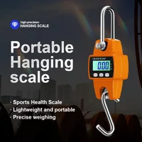 200/300KG Digital Hanging Scale High-Precision LCD Display w/Stainless Steel Hook Fishing/Luggage/Bike Weight Tool (KG/LB/N)