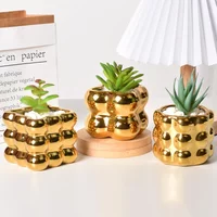 Nordic Electroplated Golden Ceramic Flowerpots Creative Fleshy Green Plantpots Light Luxury High Sense Ornaments Flowerpots