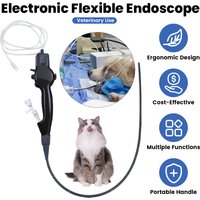 Flexible Video Bronchoscopy Portable USB Type Disposable Electronic Flexible Endoscope DH Camera Urology Cystoscope For Vet