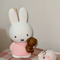 New Genuine Miffy Aroma Series Reeds Diffuser Blind Box Cute Bunny Doll Home Decor Figure For Bedroom & Tabletop Toy Kids Gifts
