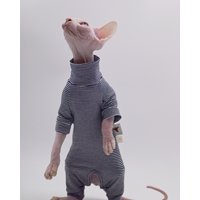 Sphynx Cat Clothes Four-legged Soft and Durable Hairless Cat Clothes for Devon Rex Cats, Cornish, and Small Cats