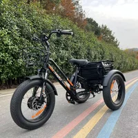 Ebike Trike 3 Wheel Electric Bike Electric Tricycle For Cargo Delivery With 750W Bafang Motor